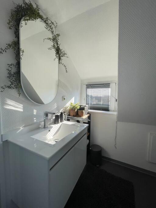Gemütliche, helle Wohnung in Paderborn Exterior foto